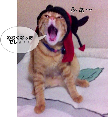 おかあさんは ひつこいでしゅね~