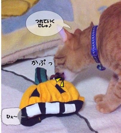 おもしろい かおでしゅ♪