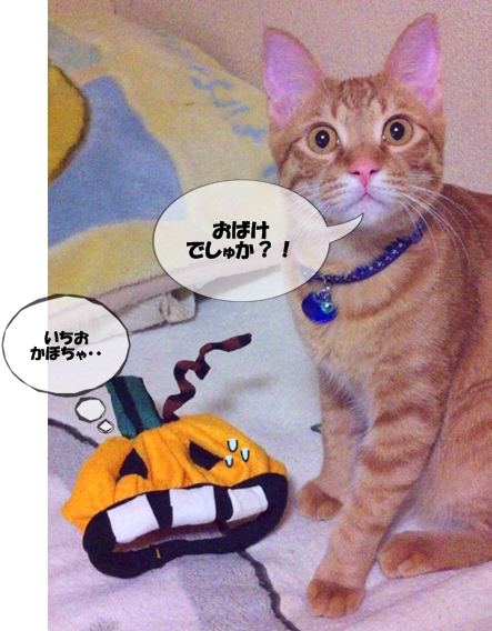 おばけなんか こわくないでしゅ!