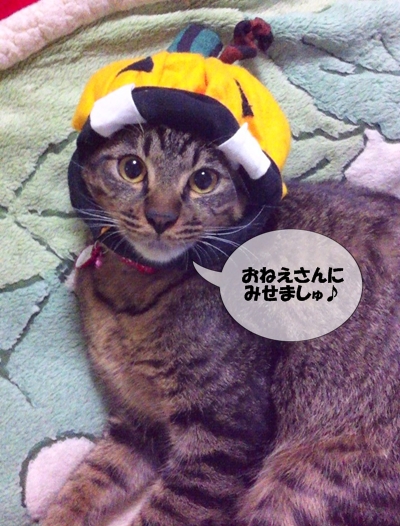 おぼおしは はじめてでしゅ♪