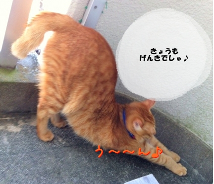 のび~ん すると せがのびましゅ♪