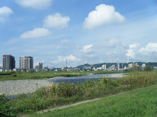 2012_0923PARACUP仙台0008