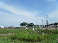 2012_0923PARACUP仙台0010