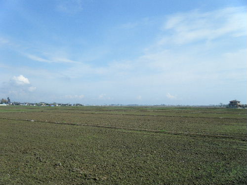 2012_0923PARACUP仙台0018