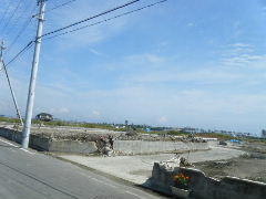 2012_0923PARACUP仙台0023