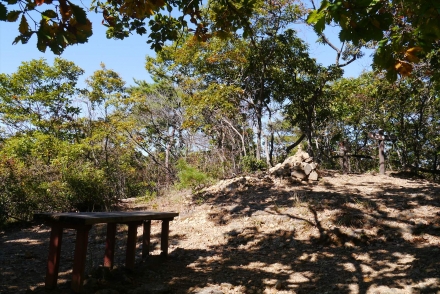 P1070376_R.jpg