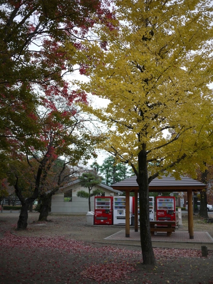 P1110038_R.jpg