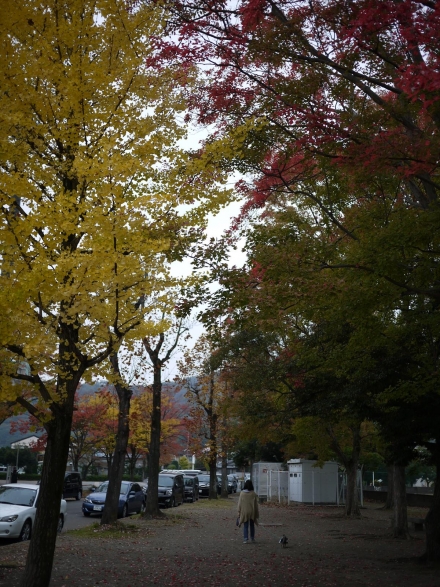 P1110041_R.jpg
