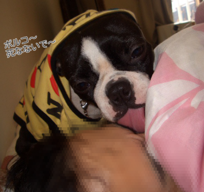 iGgcg7QFhRmFxR91353671319_1353671656_convert_縮