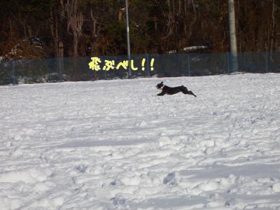 縮