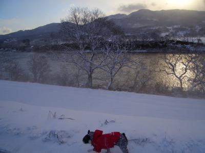 CIMG5741_convert_20121226113224縮
