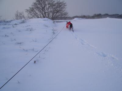 CIMG5739_convert_20121226113113縮