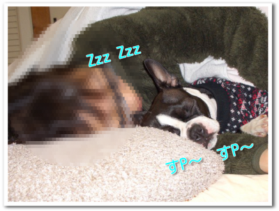 DaGotbxHCvDldmy1357171510_1357171783_convert_20130103091456縮