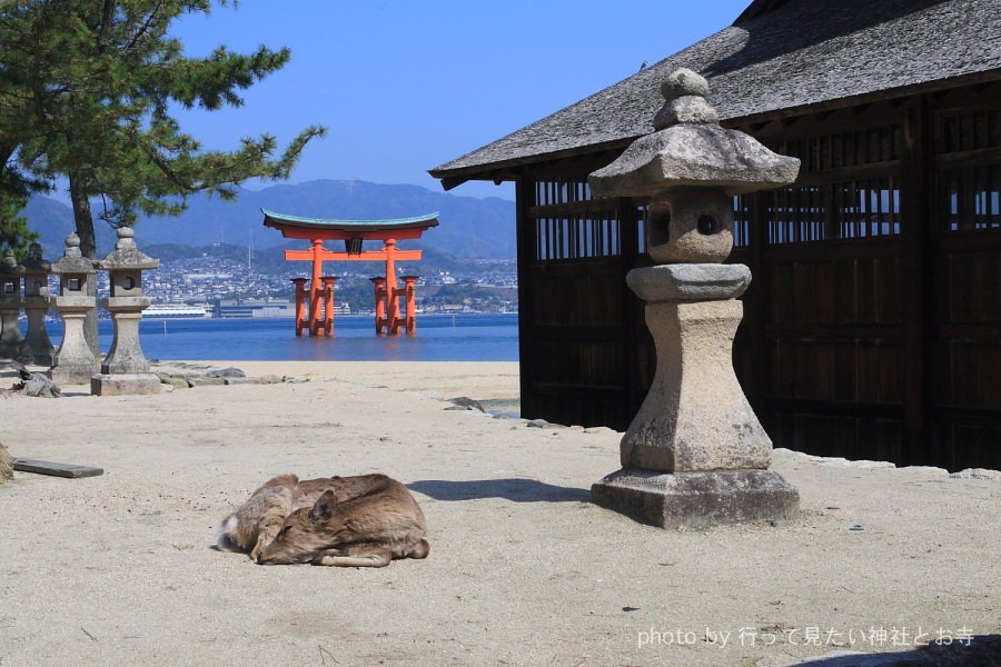 世界遺産 宮島厳島神社１ 広島県宮島町 行って見たい神社とお寺