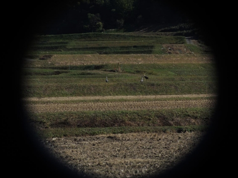 14-11-05-F03.jpg