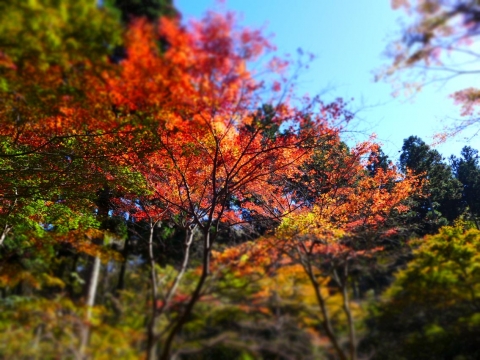 14-11-06-F05.jpg