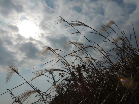 14-11-09-F10.jpg