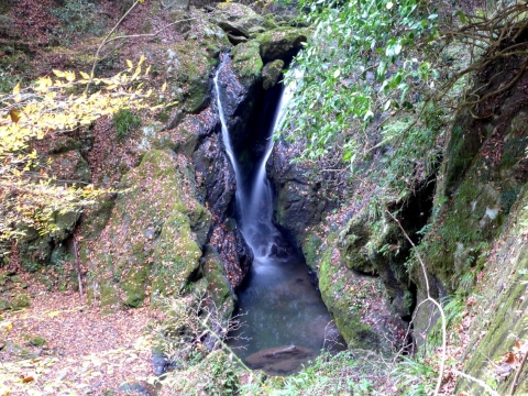 14-11-22-A05.jpg