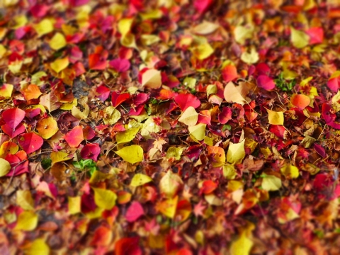14-11-27-A06.jpg