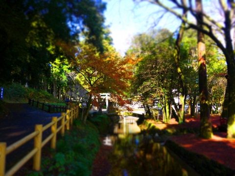 14-11-29-A01.jpg