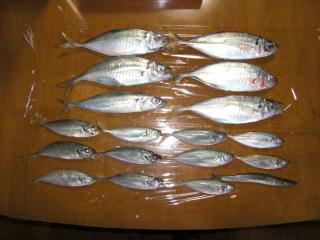 CIMG0918_convert_20120820230336.jpg