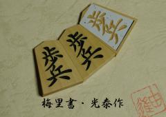 20130313_2.jpg