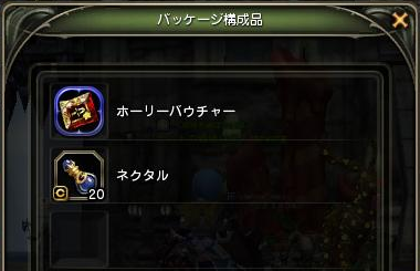 ホーリーバウチャー