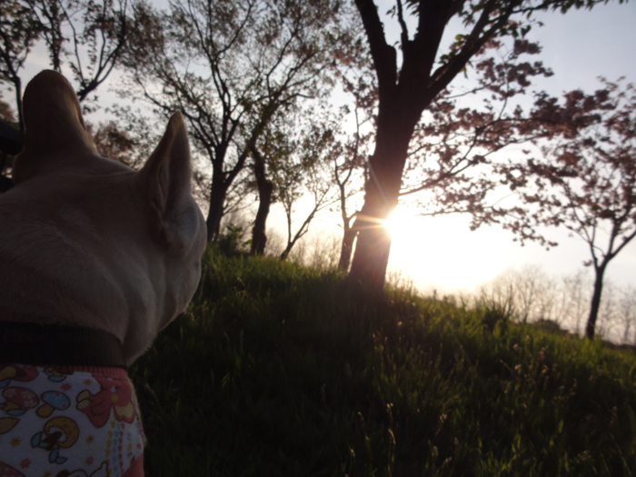 0607-1.jpg