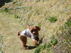 130322-18.jpg
