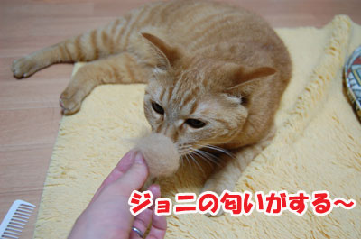 20120509b.jpg