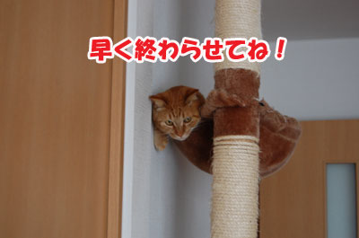 20120516d.jpg