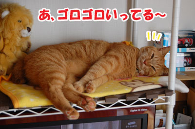 20120518b.jpg