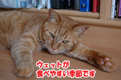 20120717c.jpg