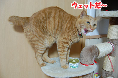 20120824a.jpg