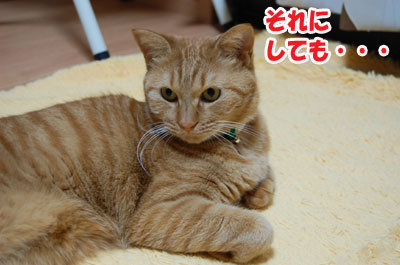 20121008c.jpg