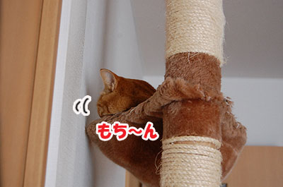 20121106a.jpg