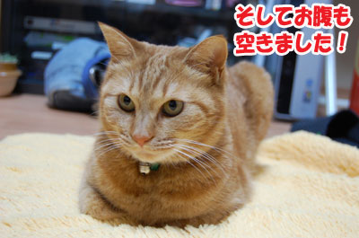 20130115c.jpg