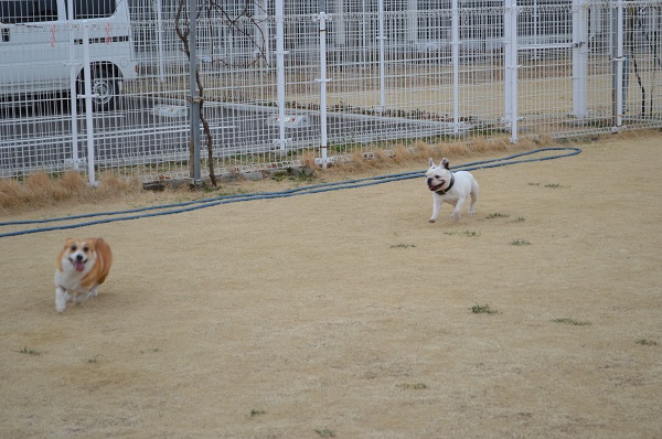 DSC_0214.jpg