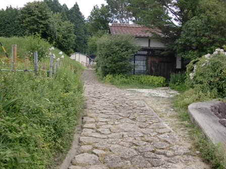 CIMG1694.jpg