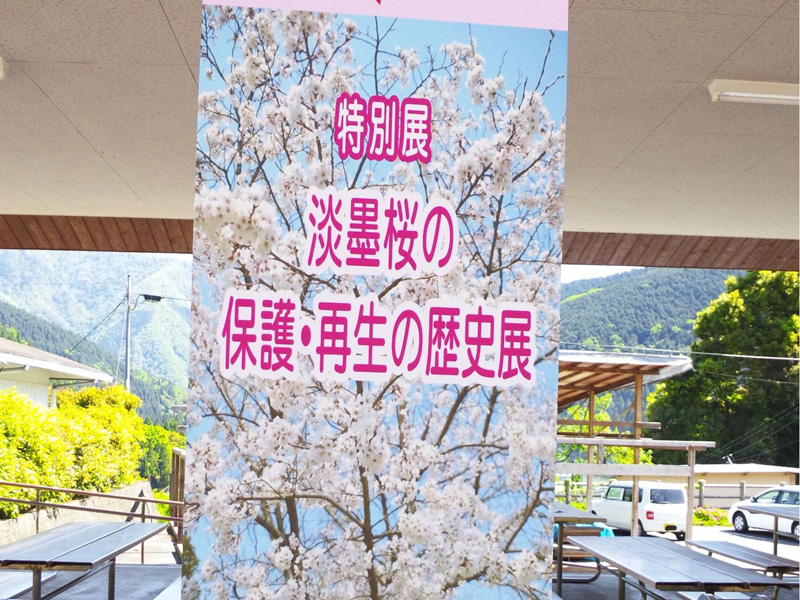 20120513-01.jpg