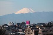 富士山