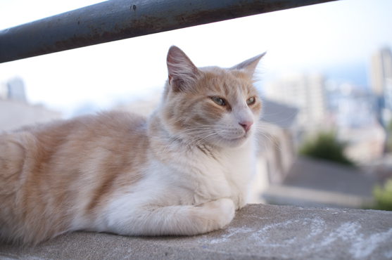 DSC_2716.jpg