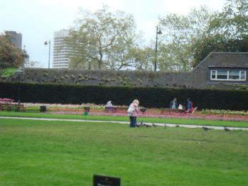 DSC01830.jpg