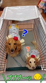 ??