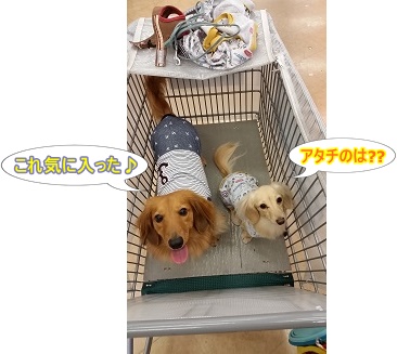 試着