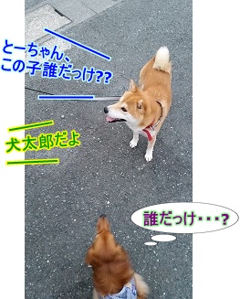 太郎くん