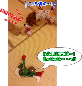 取り合い