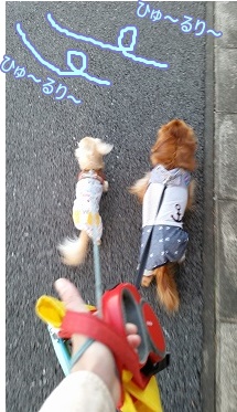 お散歩