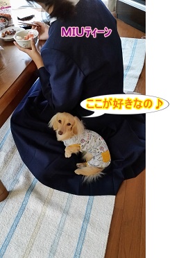 ここが好き♪