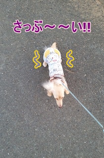さっぶーい!!